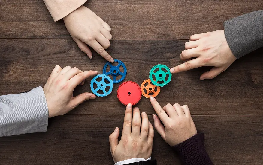 Our Services Are Suitable For